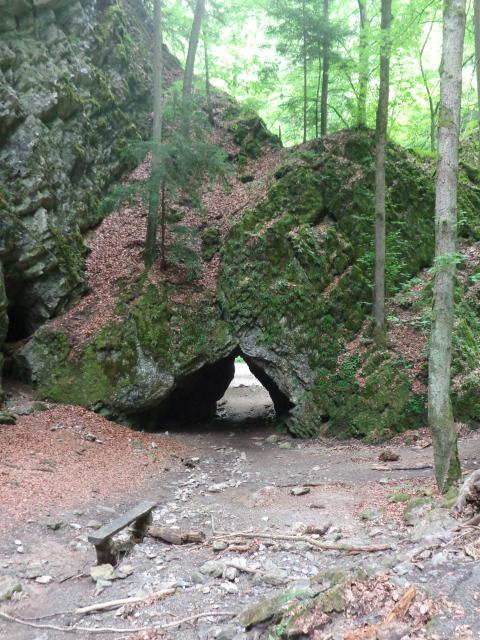 DSC08938.JPG