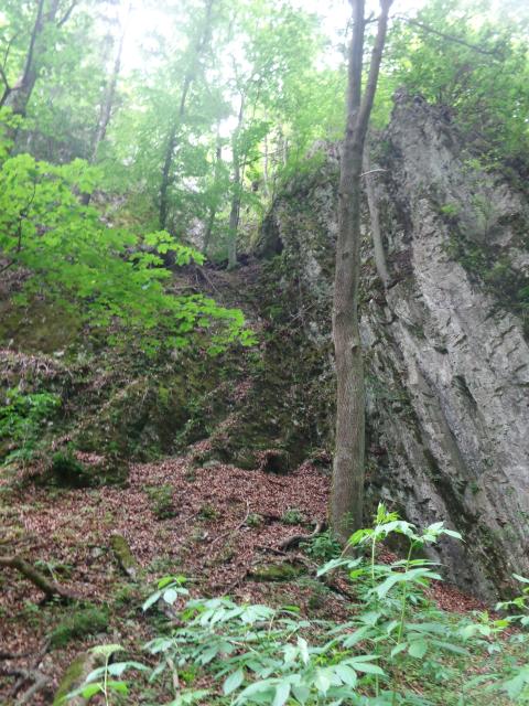 DSC08954.JPG