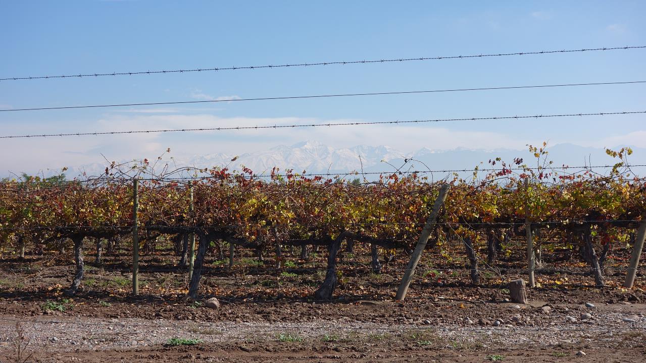 DSC01885.jpg
