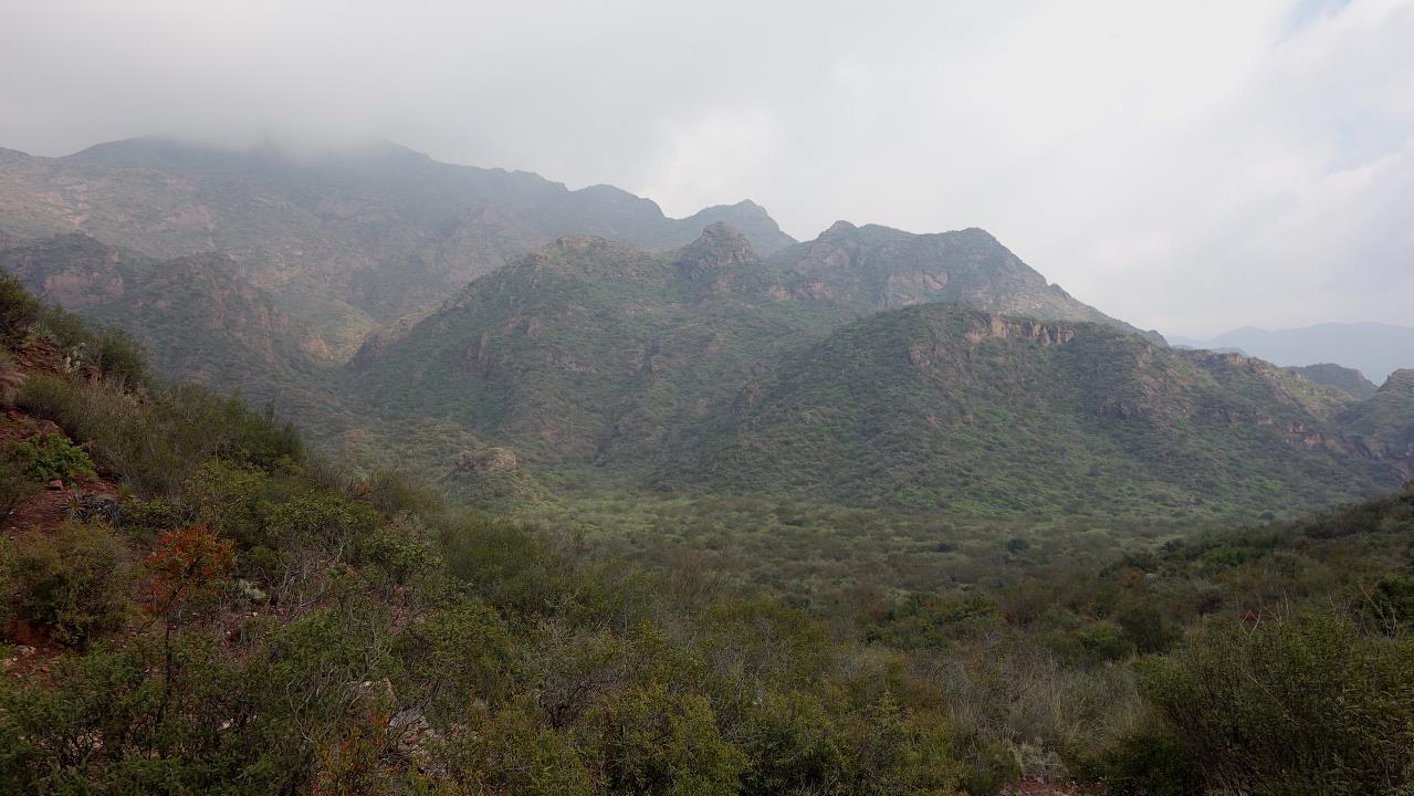 DSC01912.jpg