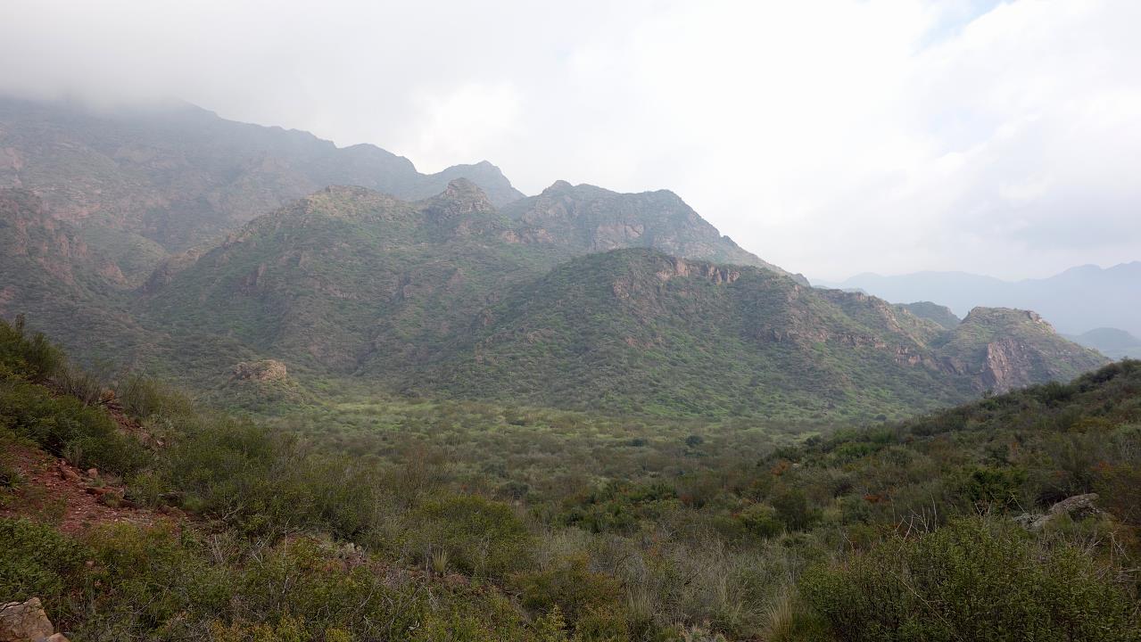 DSC01913.jpg