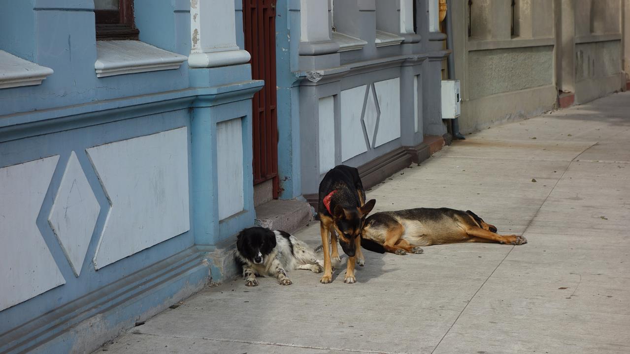 DSC02093.jpg