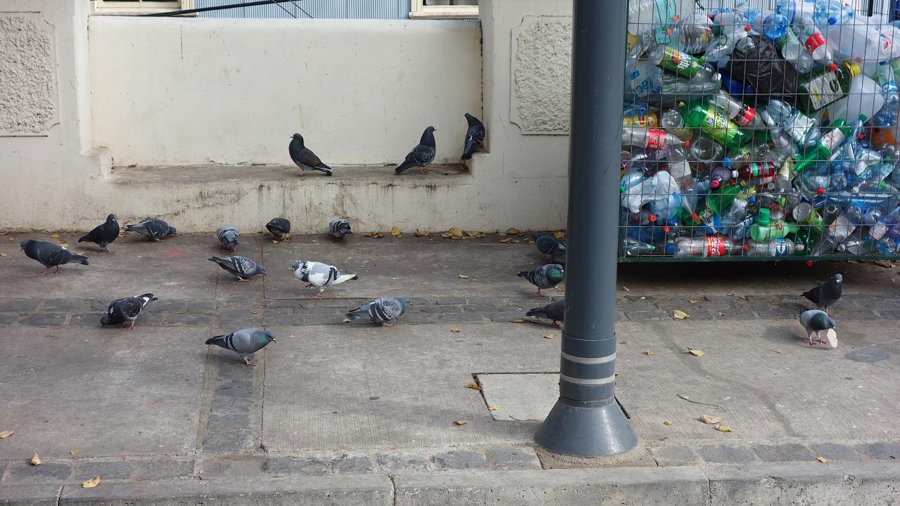 DSC02119.jpg