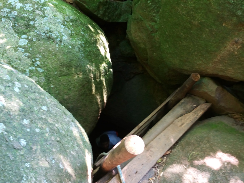 acaia 2.jpg