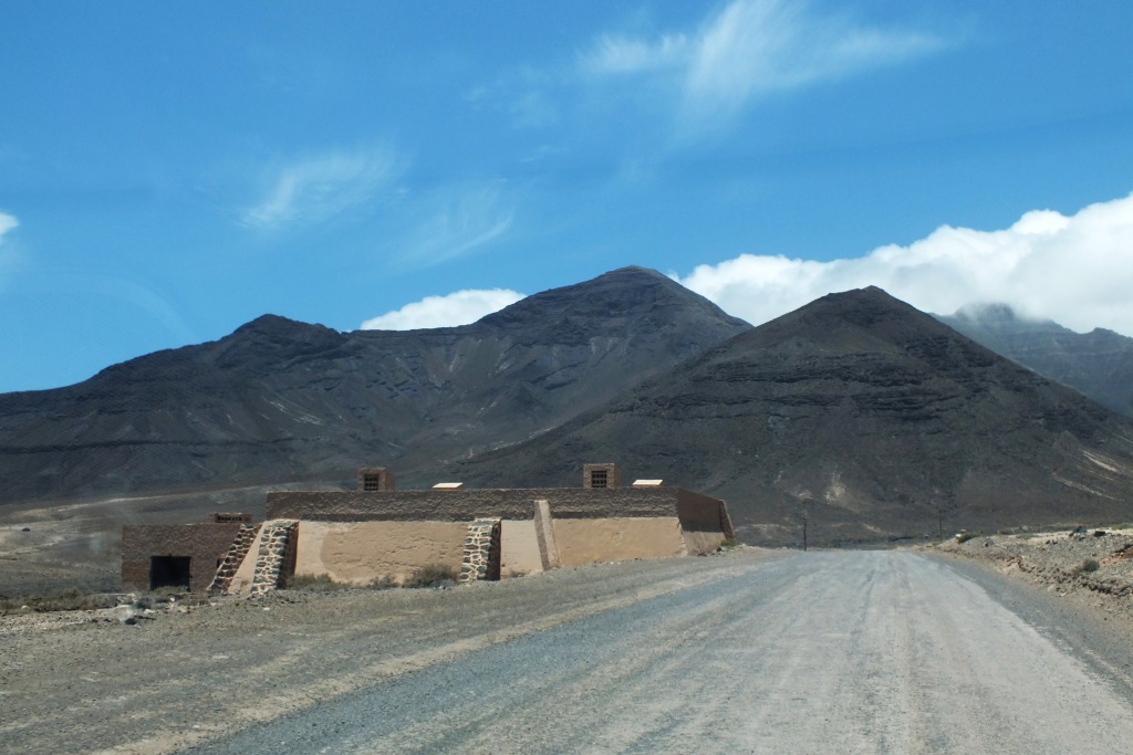 Kanary (176).jpg