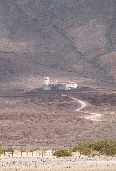 Kanary (259).jpg