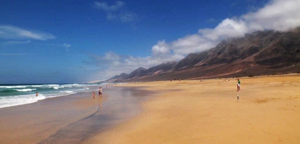 Kanary (256).jpg