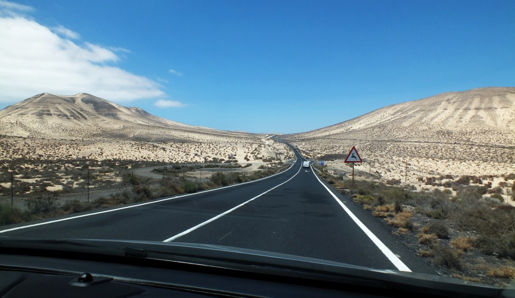 Kanary (448).jpg