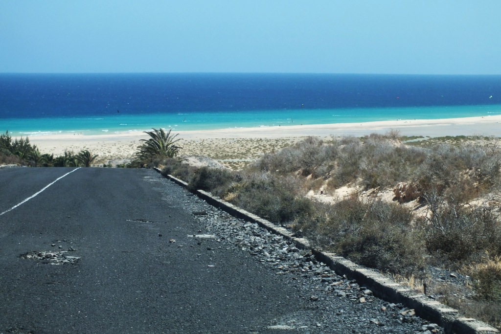 Kanary (453).jpg