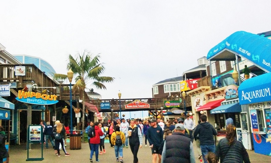 pier 39.jpg