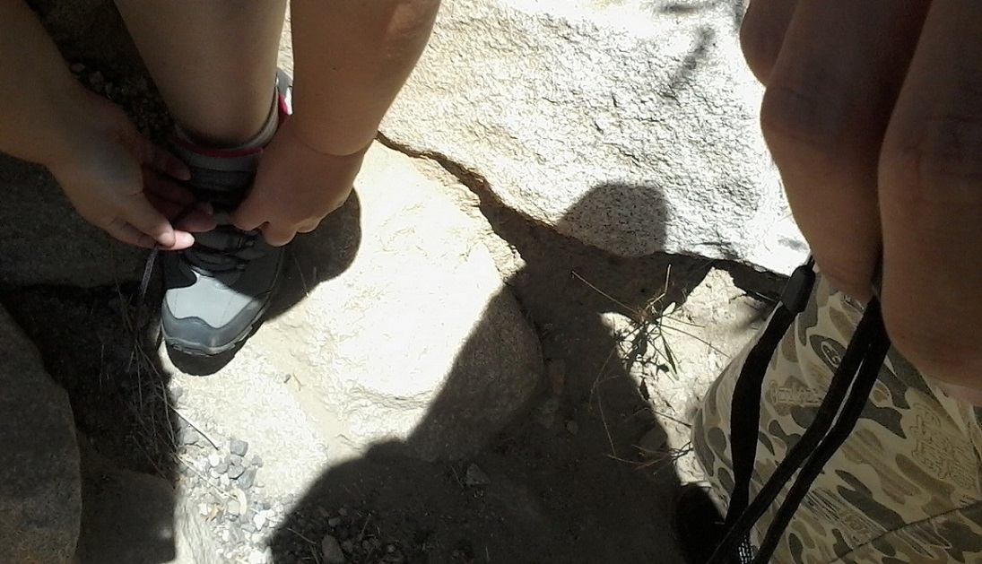 20160619_123102.jpg