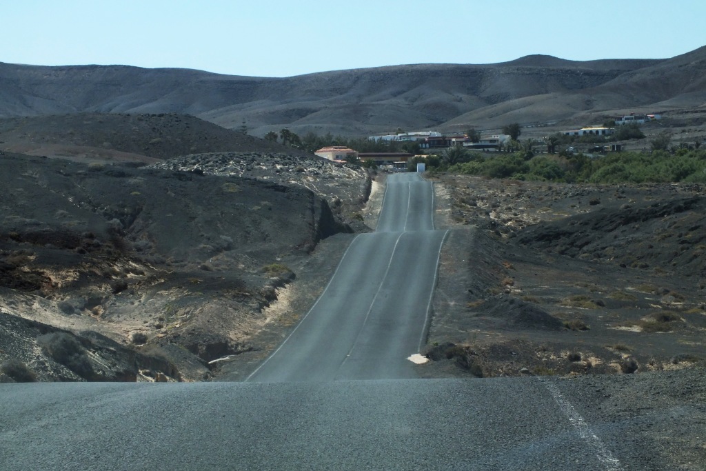 Kanary (668).JPG