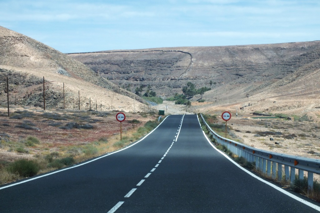 Kanary (695).jpg