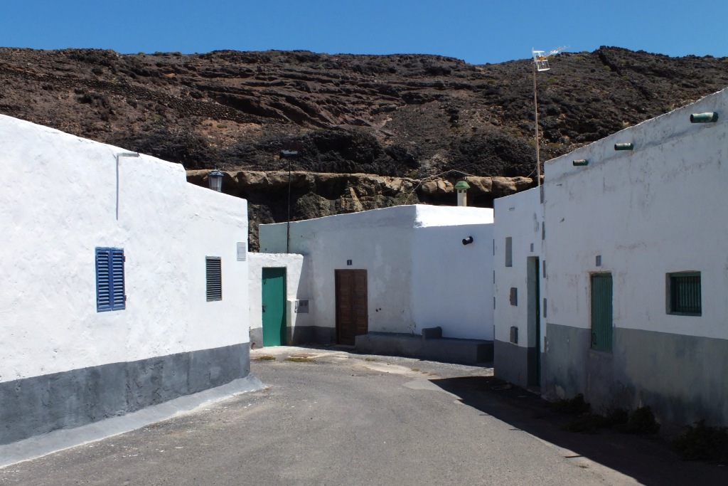 Kanary (732).jpg