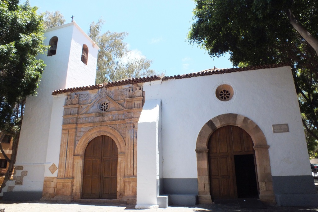 Kanary (781).jpg