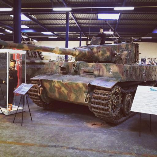 tiger_jzzpl.jpg