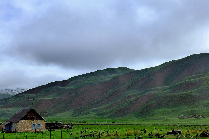 P1000507(1).JPG