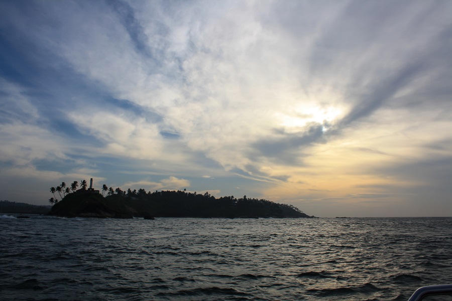 IMG_4328.jpg
