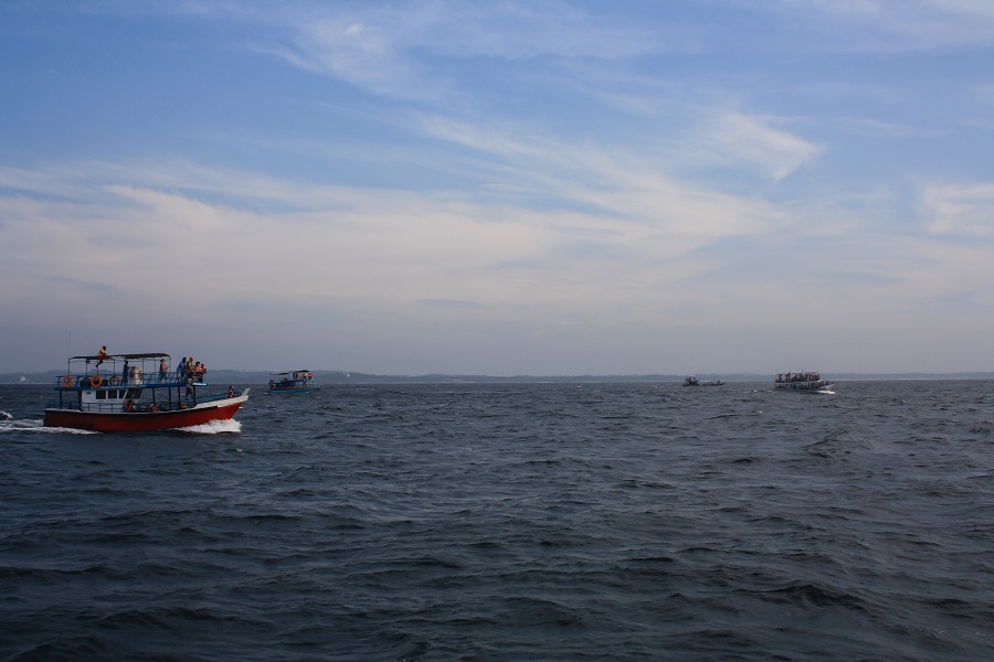 IMG_4329.jpg