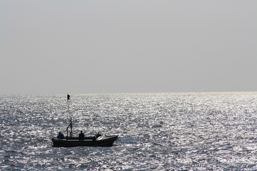 IMG_4333.jpg