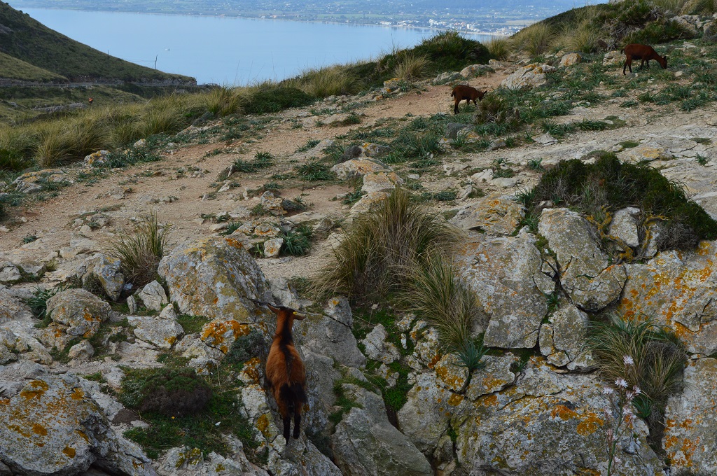 DSC_0621.JPG