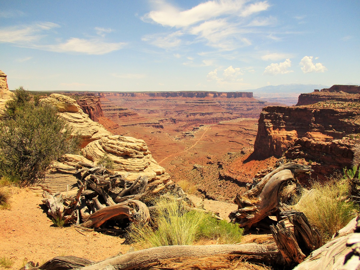 canyonlands.JPG