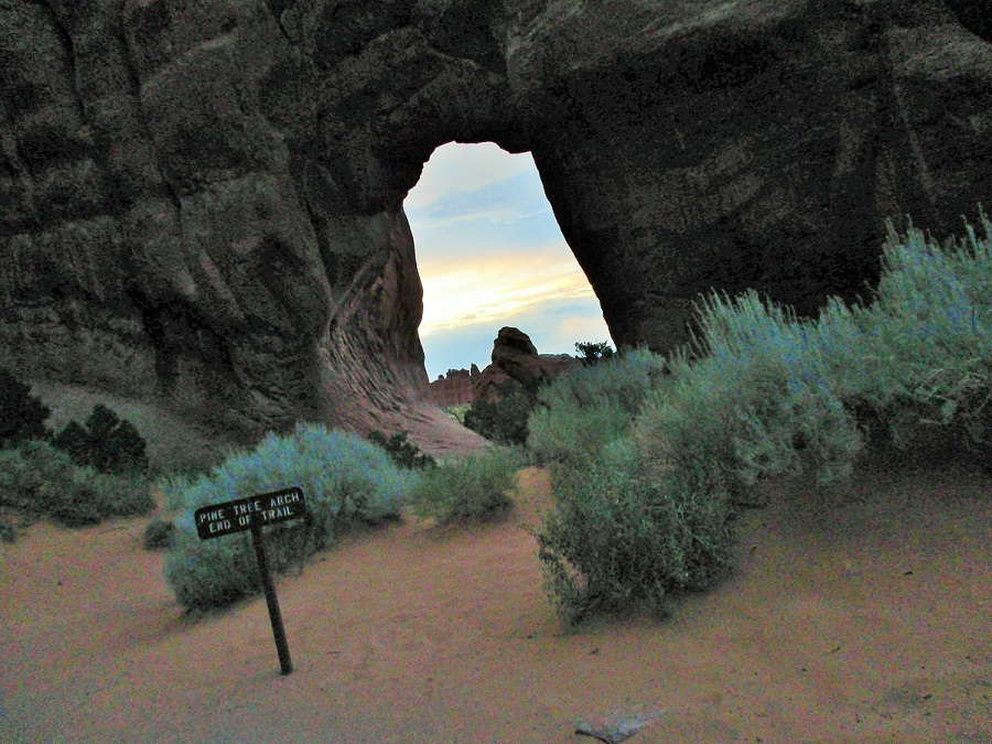 devils garden4.JPG