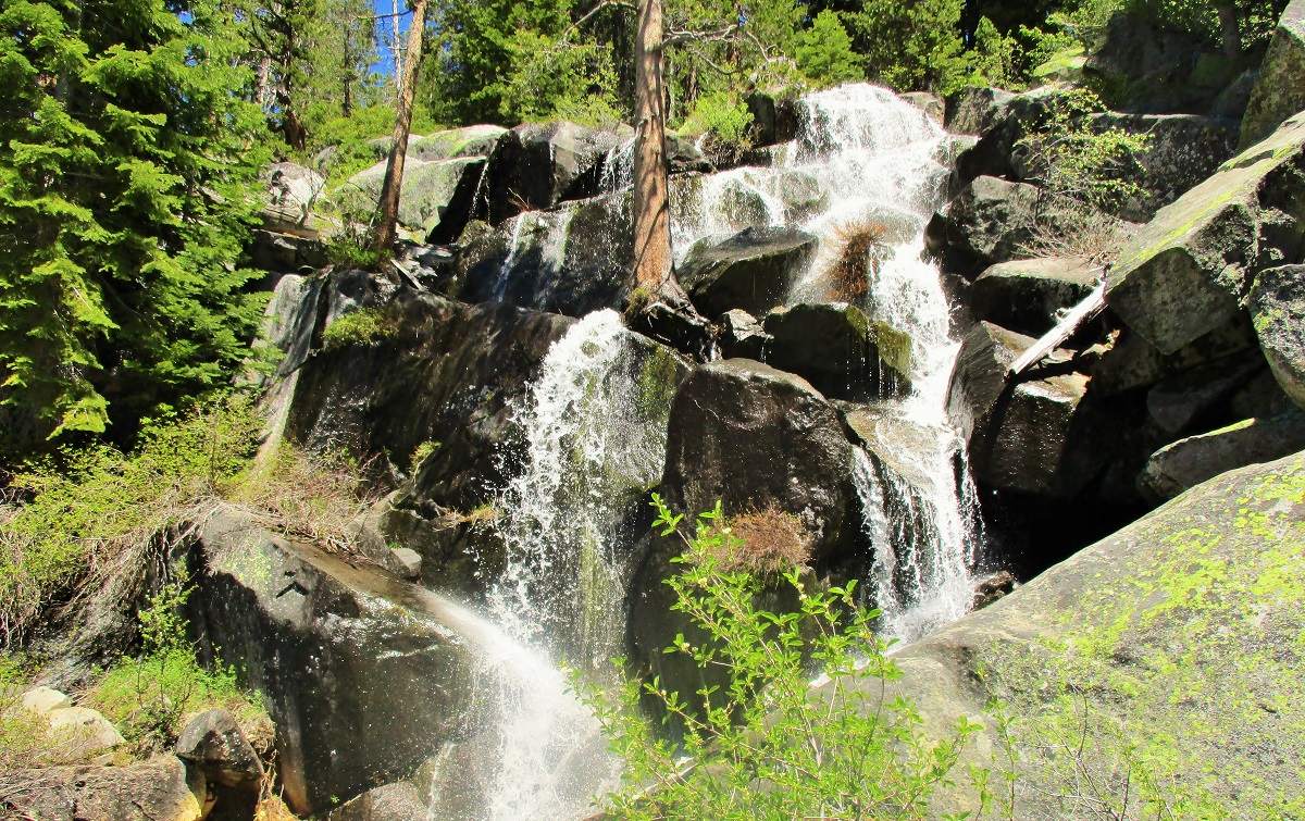 IMG_0487.JPG