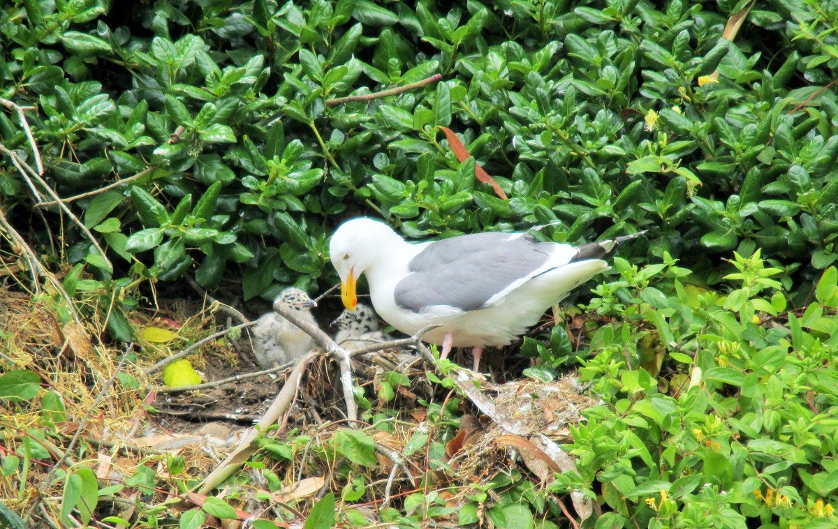 IMG_0336.JPG