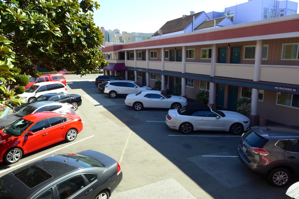 P1000515.jpg