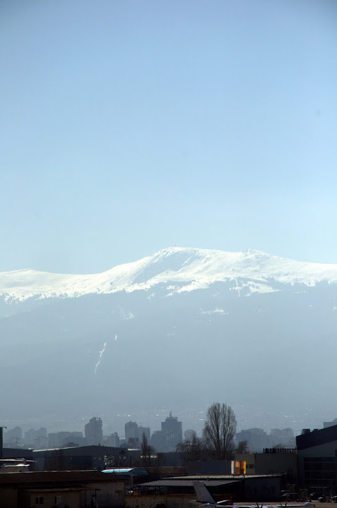 DSC_0924.jpg