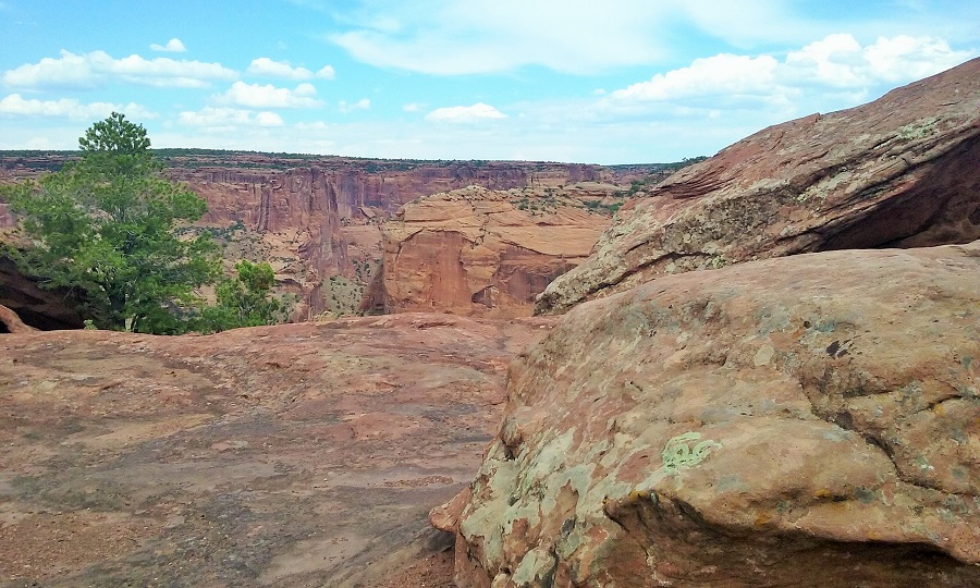 20160629_153313.jpg