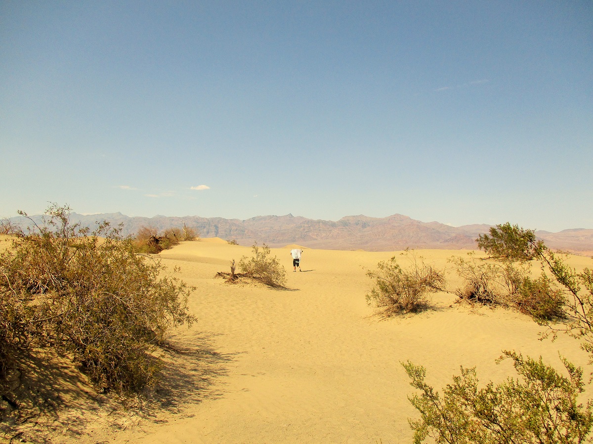 dunes.JPG