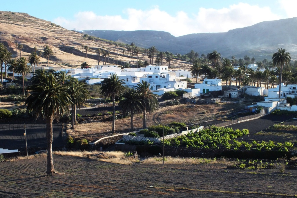 Kanary (1700).jpg