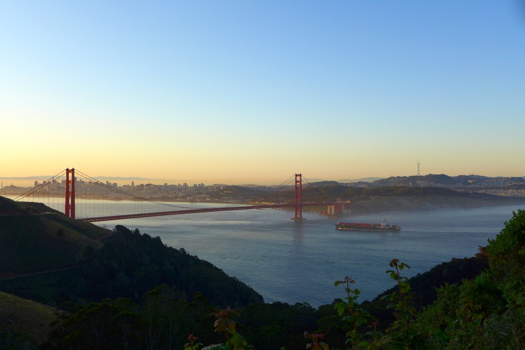 P1000687.JPG