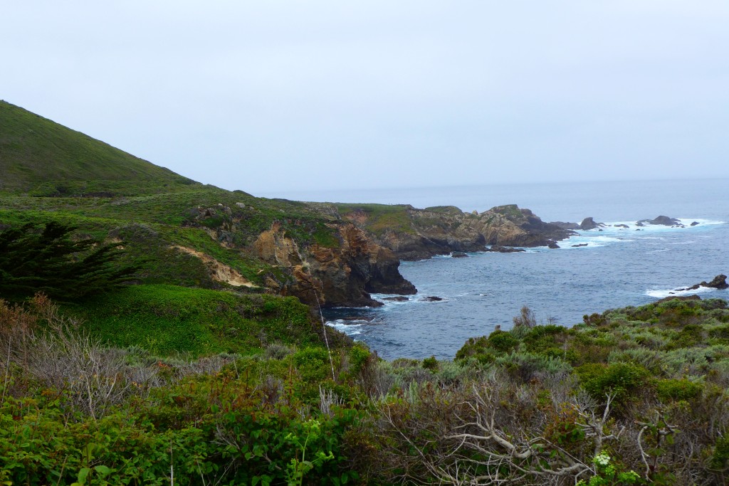 P1000740.JPG