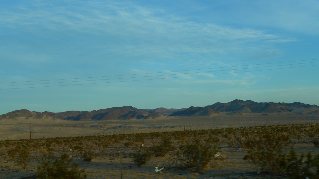 P1010148.JPG