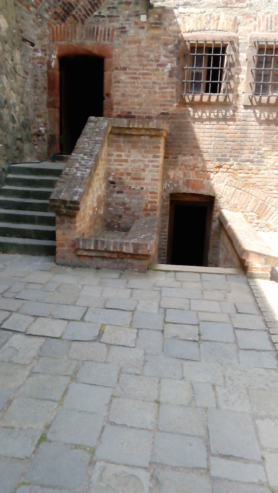 IMG_20160711_123516.jpg