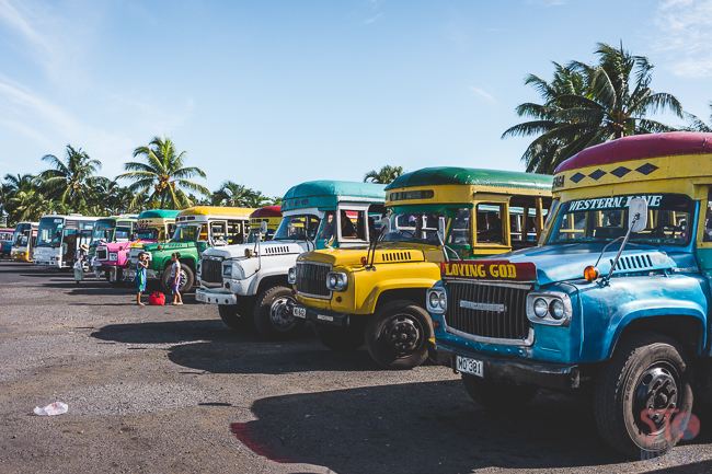 apia market-15.jpg