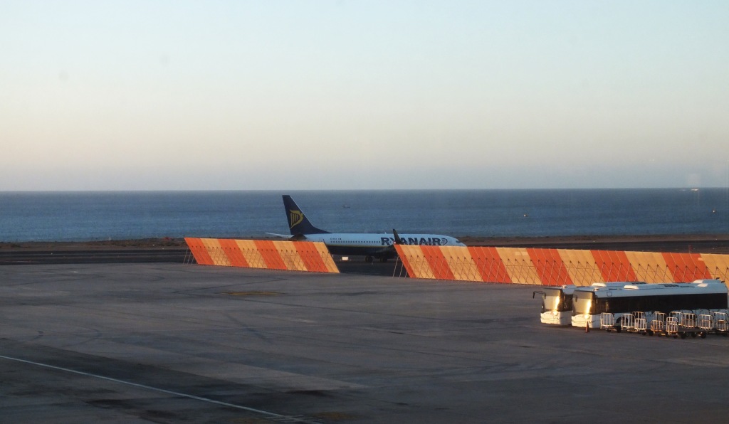 Kanary (2283).jpg