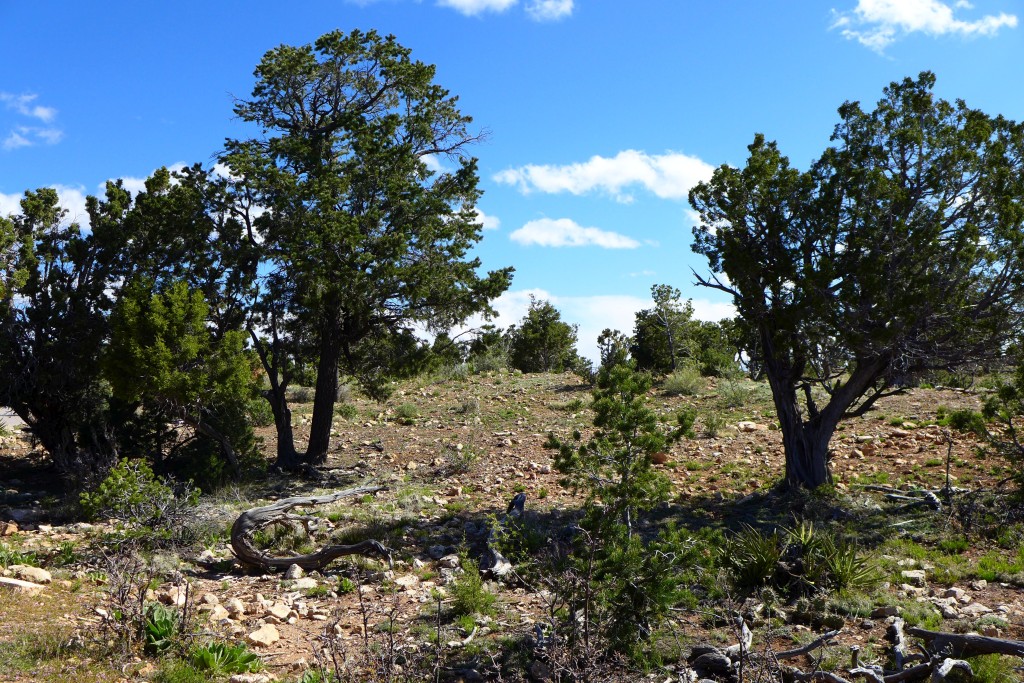 P1010266.JPG