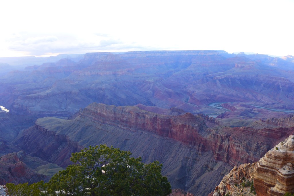 P1010426.JPG