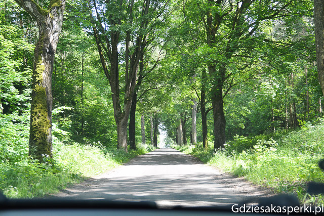 Warmia-62.jpg