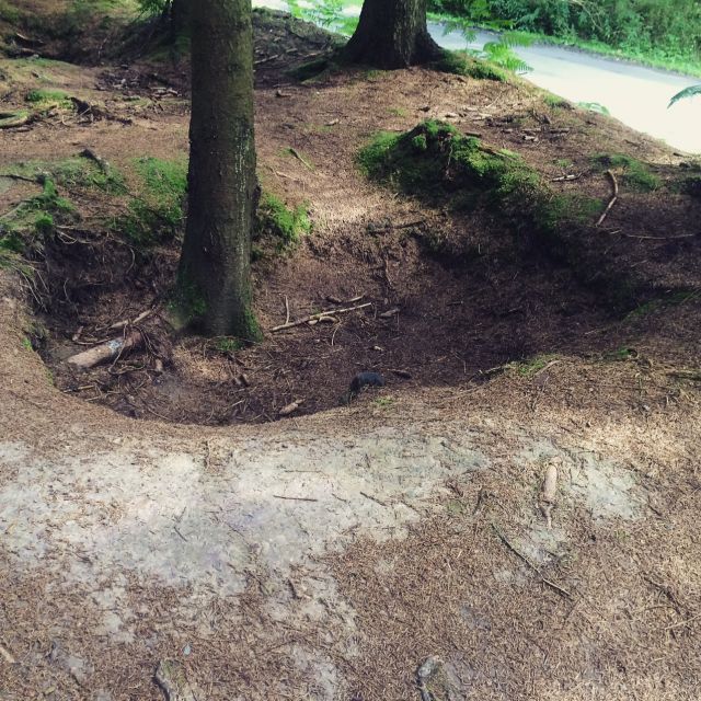 Foxholes 506 regimentu z 101 Dywizji Spadochronowej w Foy (Kompania Braci).jpeg