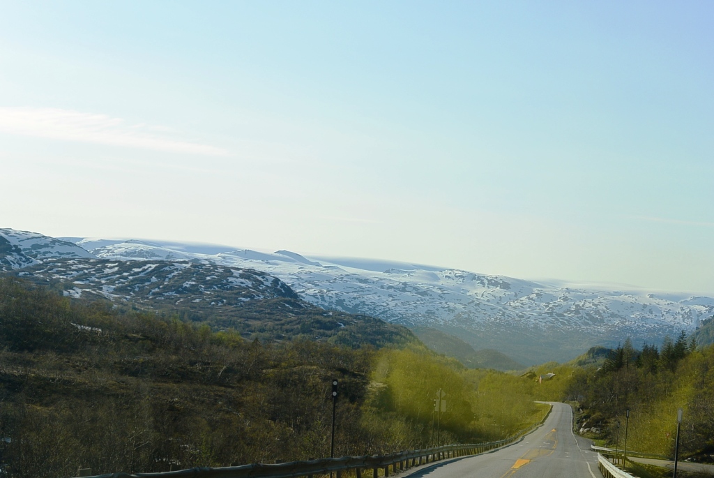 DSC_4987.JPG