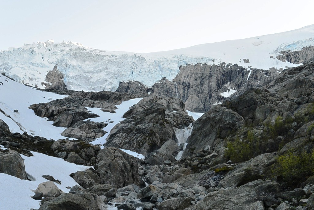 DSC_5019.JPG