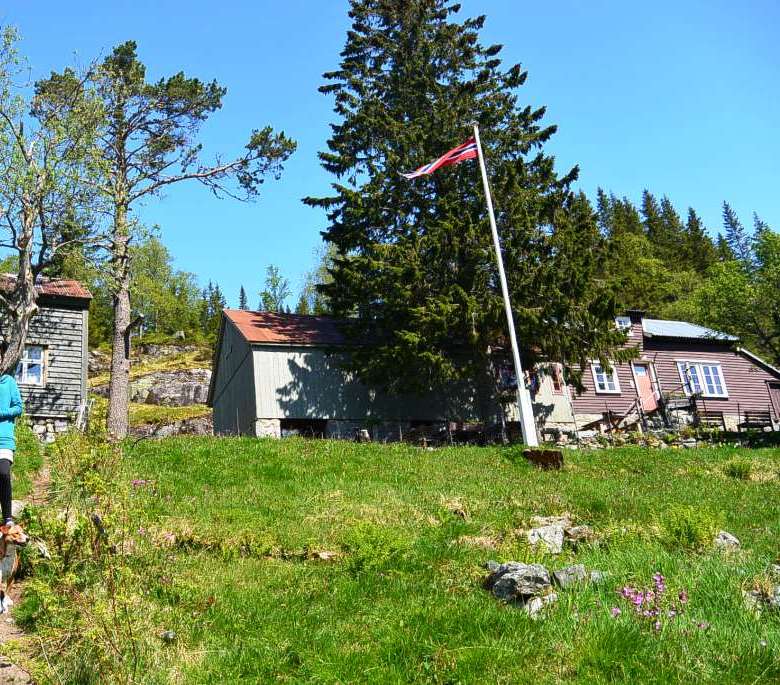 DSC_5043.JPG