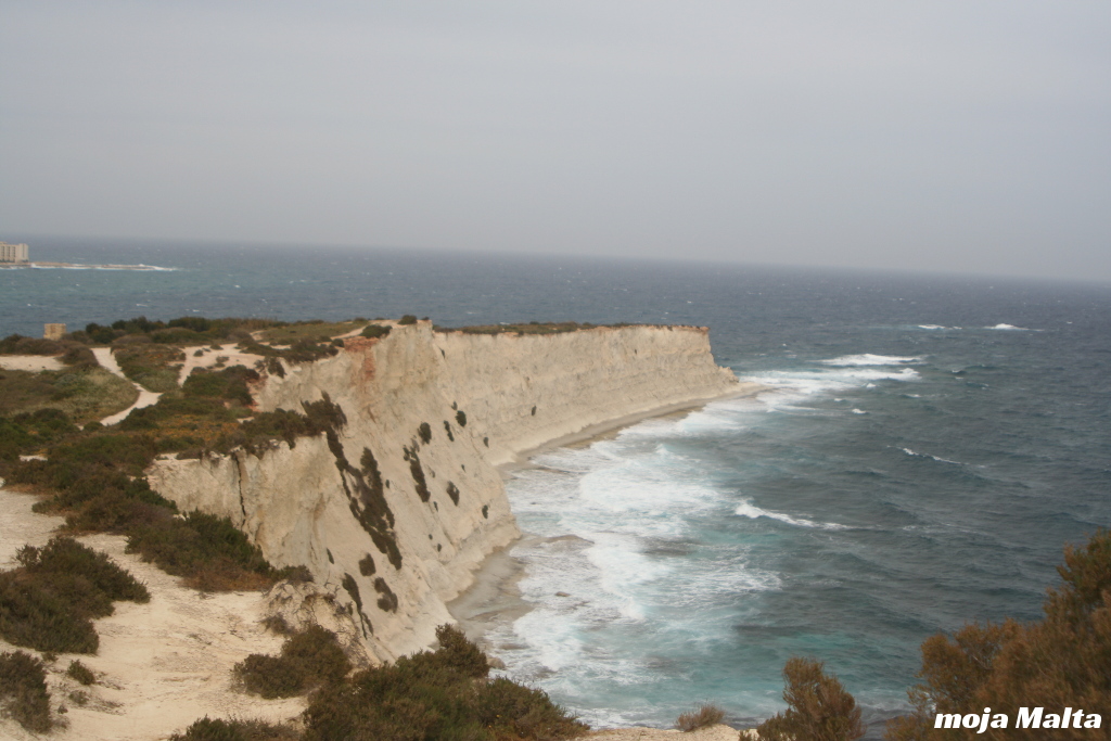 IMG_8768.JPG