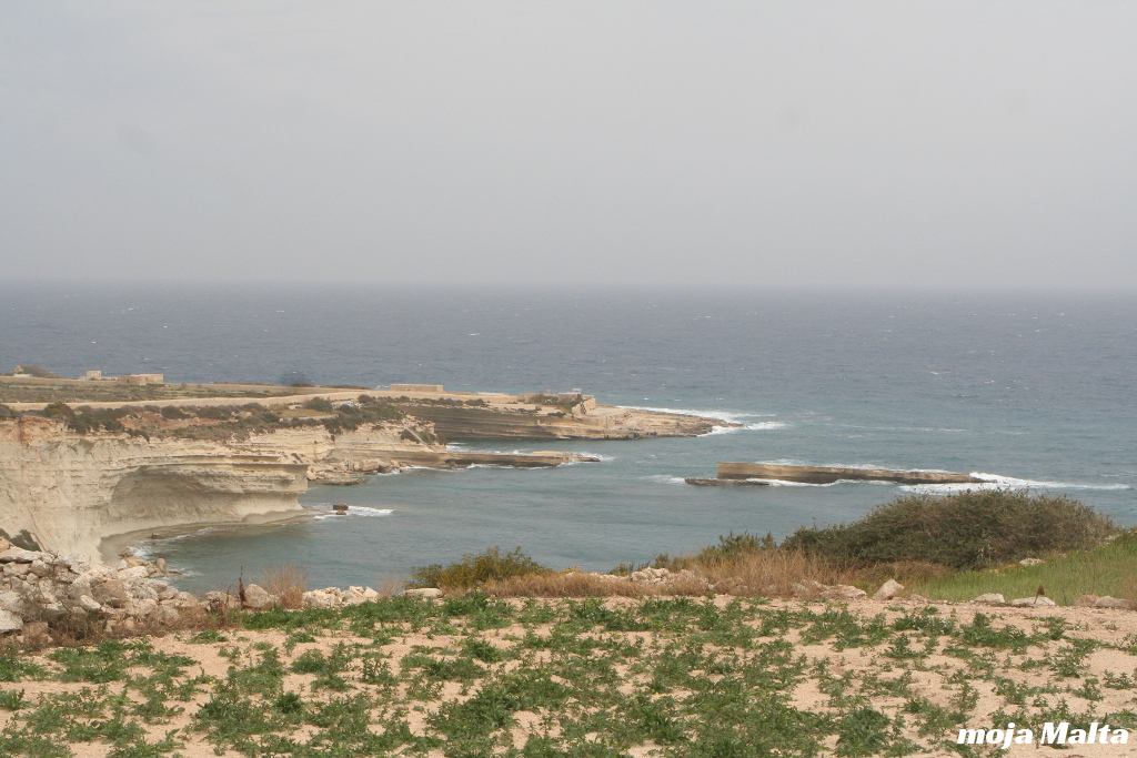 IMG_8847.JPG