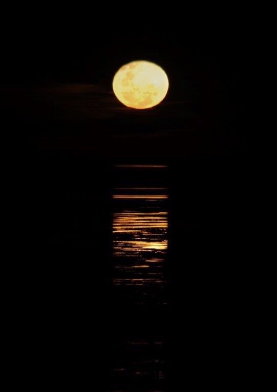 staircase-to-the-moon-in-broome.jpg